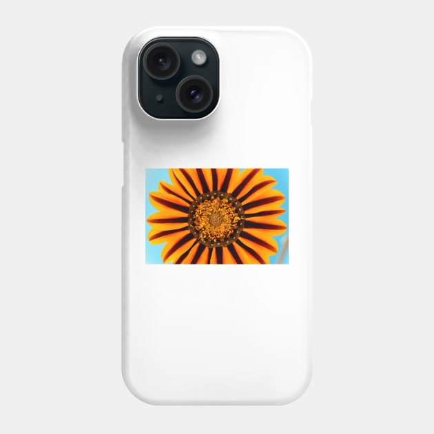 Gazania &#39;Tikal&#39;  SunBathers Series Phone Case by chrisburrows