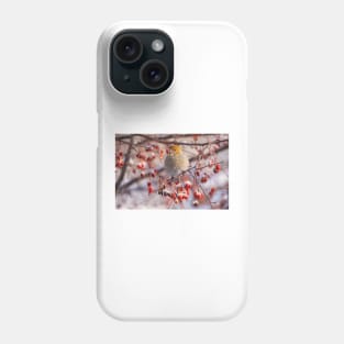 Pine Grosbeak Phone Case