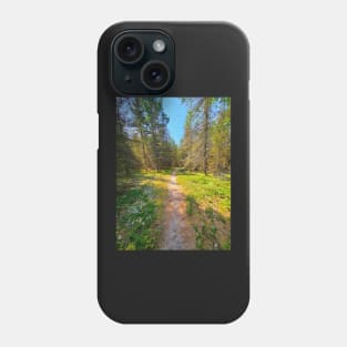 Hiking Trail Phone Case