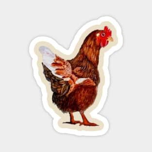 Chook. Magnet