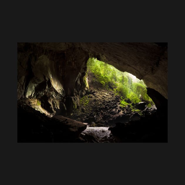 Deer cave gunung mulu national park by Juhku