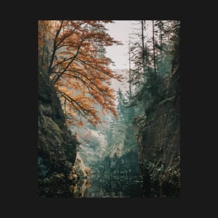 Bohemian Switzerland: Scenic Landscape Photography #5 T-Shirt