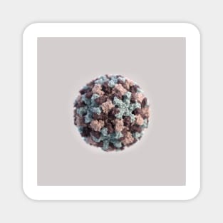 Microscopic Images: Norovirus Virion Close-up Magnet