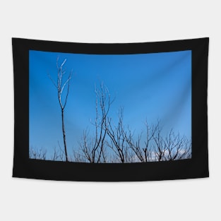 Bare branches Tapestry