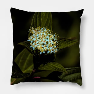 Flowers in the mountains. Pillow