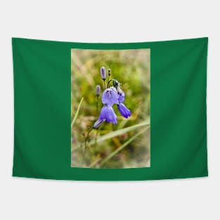 Wild Harebells Tapestry