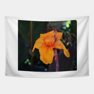 Orange Canna Lily Tapestry