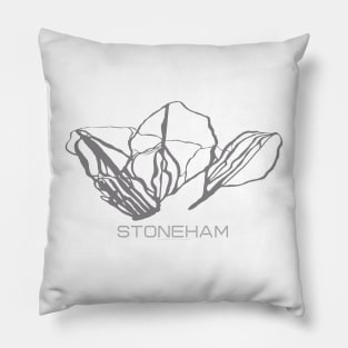 Stoneham Resort 3D Pillow