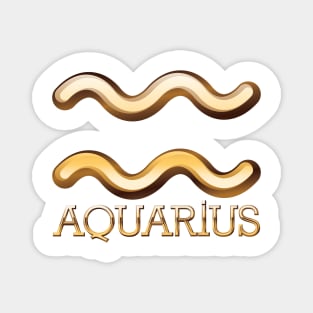 Aquarius Magnet