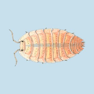 Porcellio scaber "Orange Embers" Isopod T-Shirt