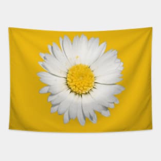 Beautiful Yellow And White Daisy Flower Cut Out Tapestry