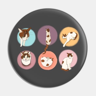 Soya compilation Pin