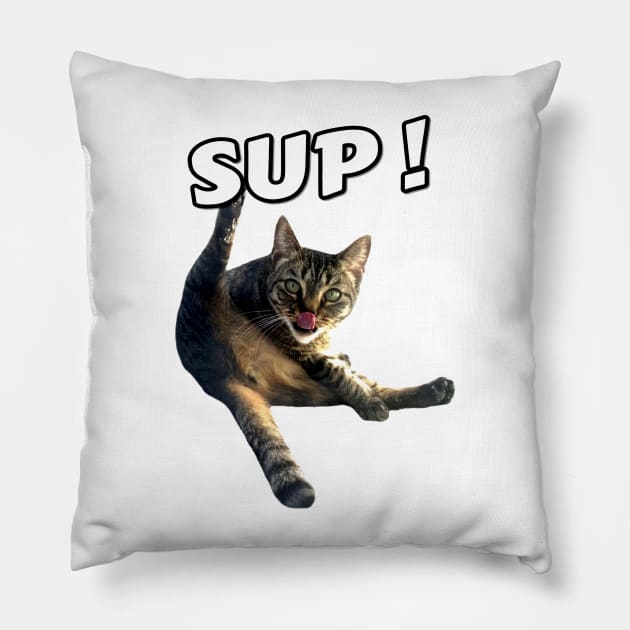 Cat Licking its Butt Pillow by azbotees