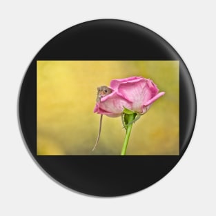 Pretty as a picture Pin