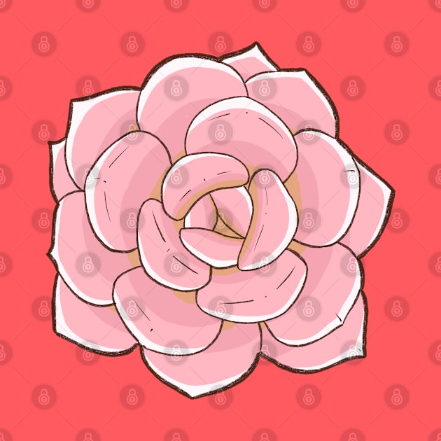 Pink succulent by Oricca