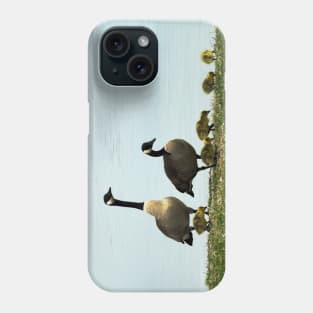 Mother and Father Canada Goose and Their Goslings Phone Case