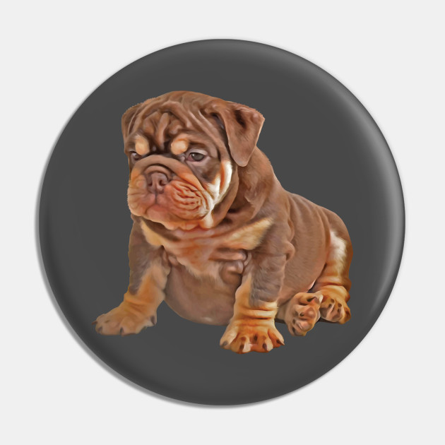 Bulldog Puppy Cute and Chubby - Bulldog - Pin | TeePublic