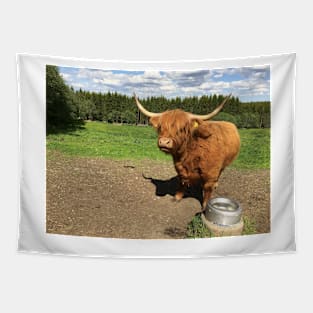 Scottish Highland Cattle Cow 2408 Tapestry