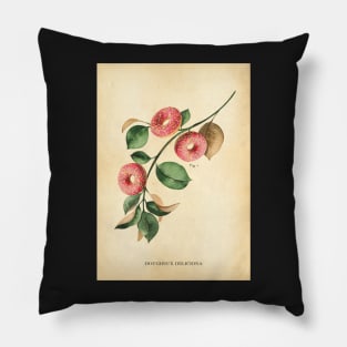 Donut Modern Botanical Print, Funny, humorous Pillow