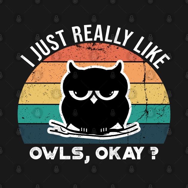 I Just Really Like Owls, OKay? by VanTees