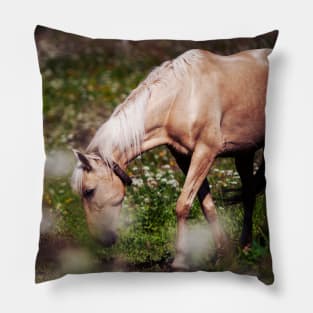 Horse Pillow