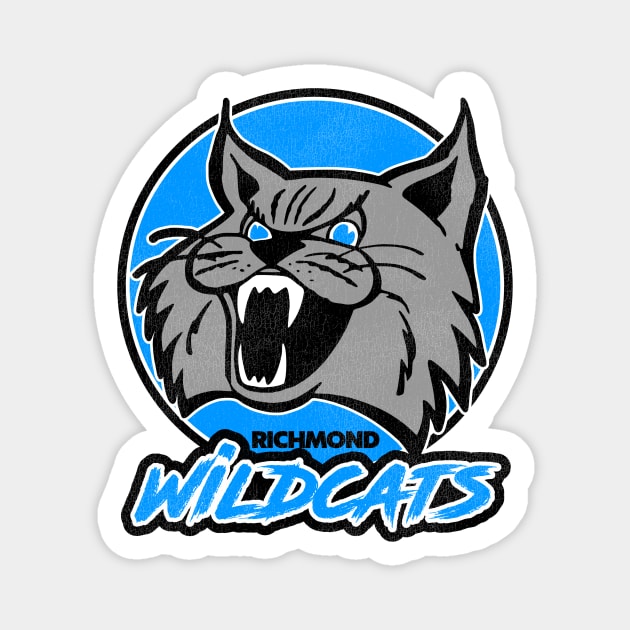 Defunct Richmond Wildcats Hockey Team Magnet by Defunctland