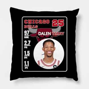 Dalen Terry Pillow