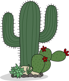 Cactus Magnet