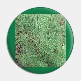 Spruce or fir needles Pin