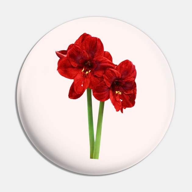 Pair of Red Amaryllis Pin by SusanSavad