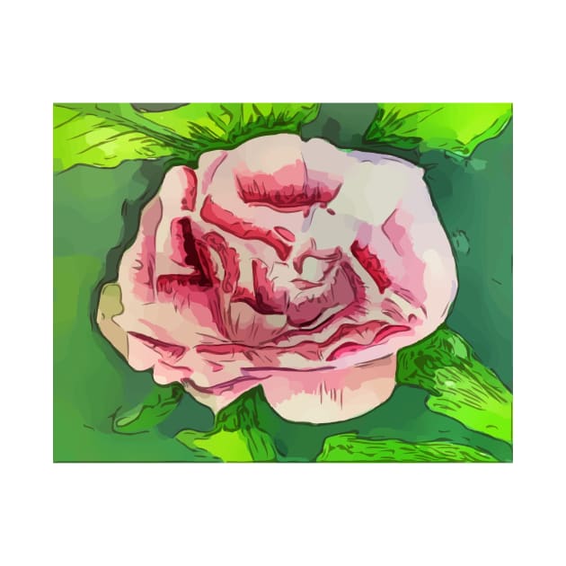 peonies flower by WelshDesigns