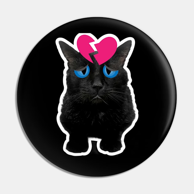 Funny Cat Pin by Screamingcat