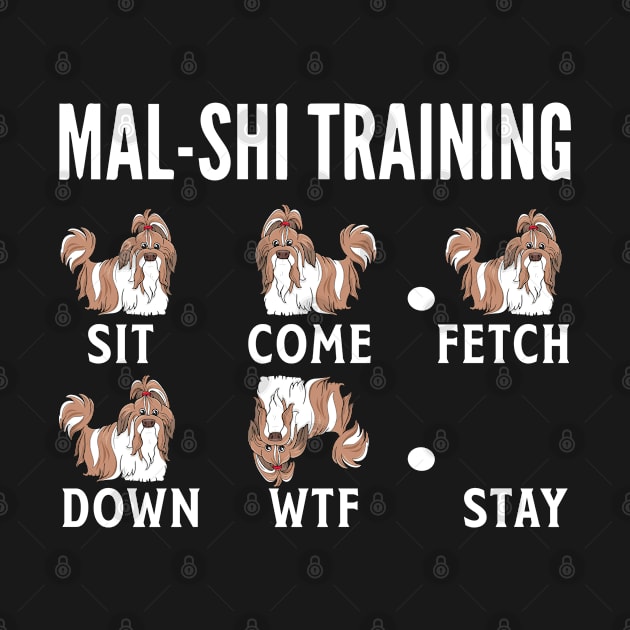 Mal-shi Training sit by Tee-hub