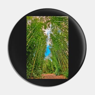 Bamboo Keyhole Forest Pin