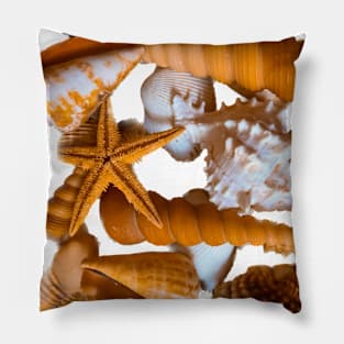 Holidays Beach Summer Seashells Pillow