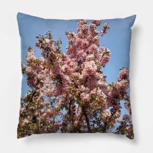 Apple Blossoms Pillow