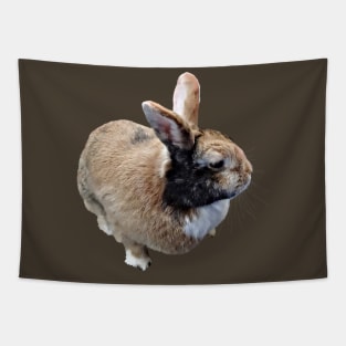 Mini Rex Rabbit Tapestry