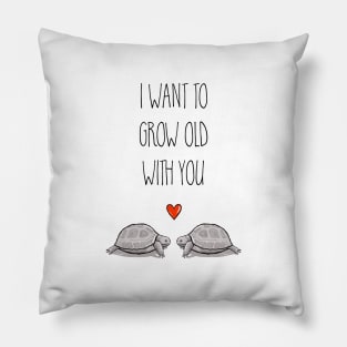 Let's Grow Old Together Pillow