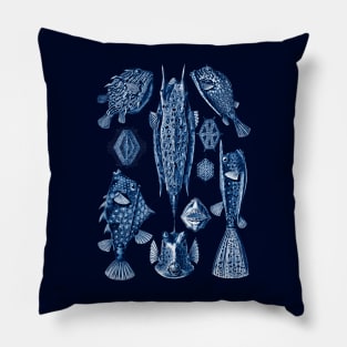 Ernst Haeckel Ostraciontes Navy Blue Pillow