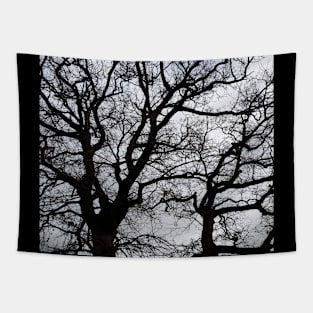 Winter Trees Tapestry