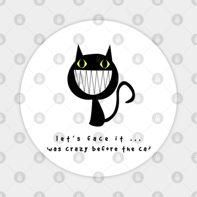 Let S Face It I Was Crazy Before The Cats Lady Cats Lover