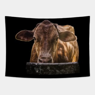 cool cow Tapestry