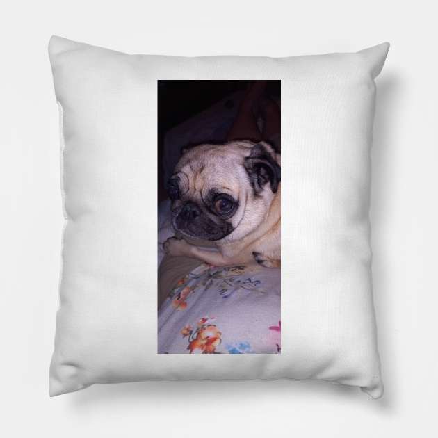 Pug Dog Portrait Pillow by allaboutpugdogs 