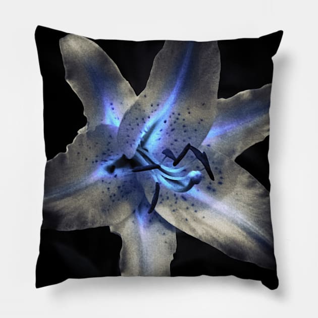 Magic flower Pillow by rolffimages