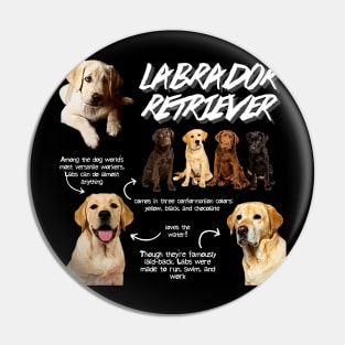 Labrador Retriever Fun Facts Pin