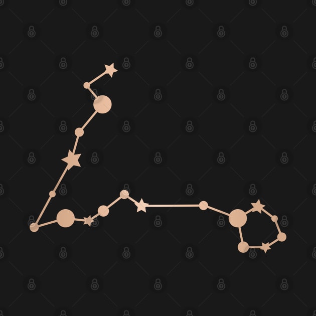 Pisces Zodiac Constellation in Rose Gold - Black by Kelly Gigi
