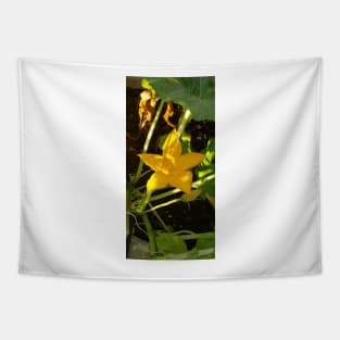 Squash Blossom Tapestry