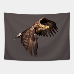 White tailed Eagle Tapestry