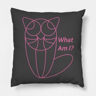 What Am I? Pillow