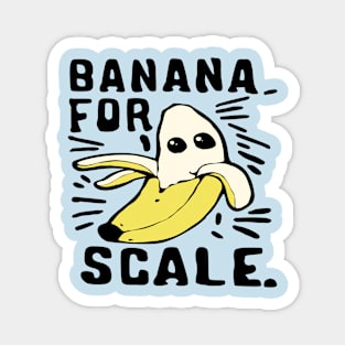 funny banana for scale Magnet